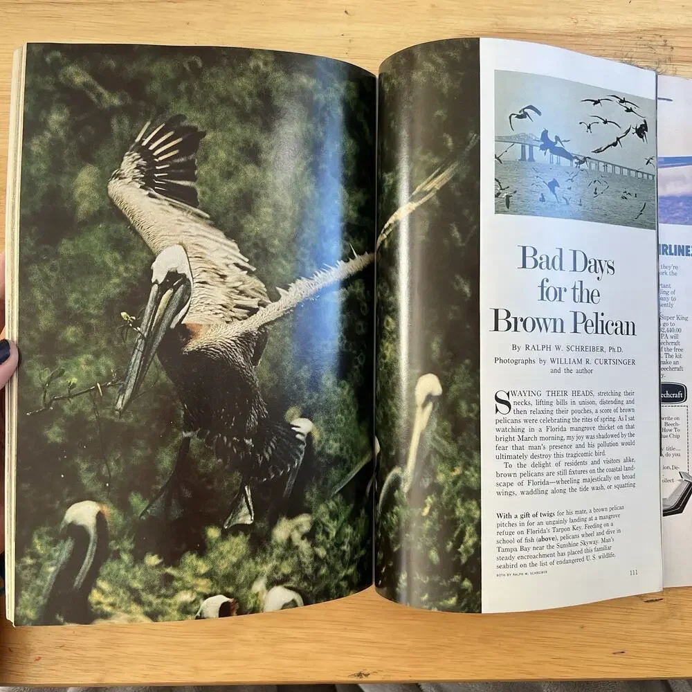 National Geographic January 1975 Magazine Iran Monitor Ice Age Man Martinique